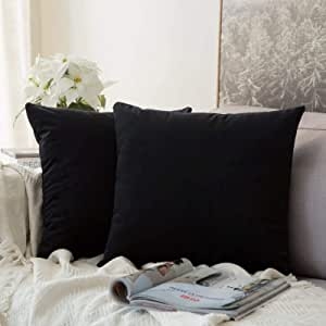 MIULEE Pack of 2 Velvet Pillow